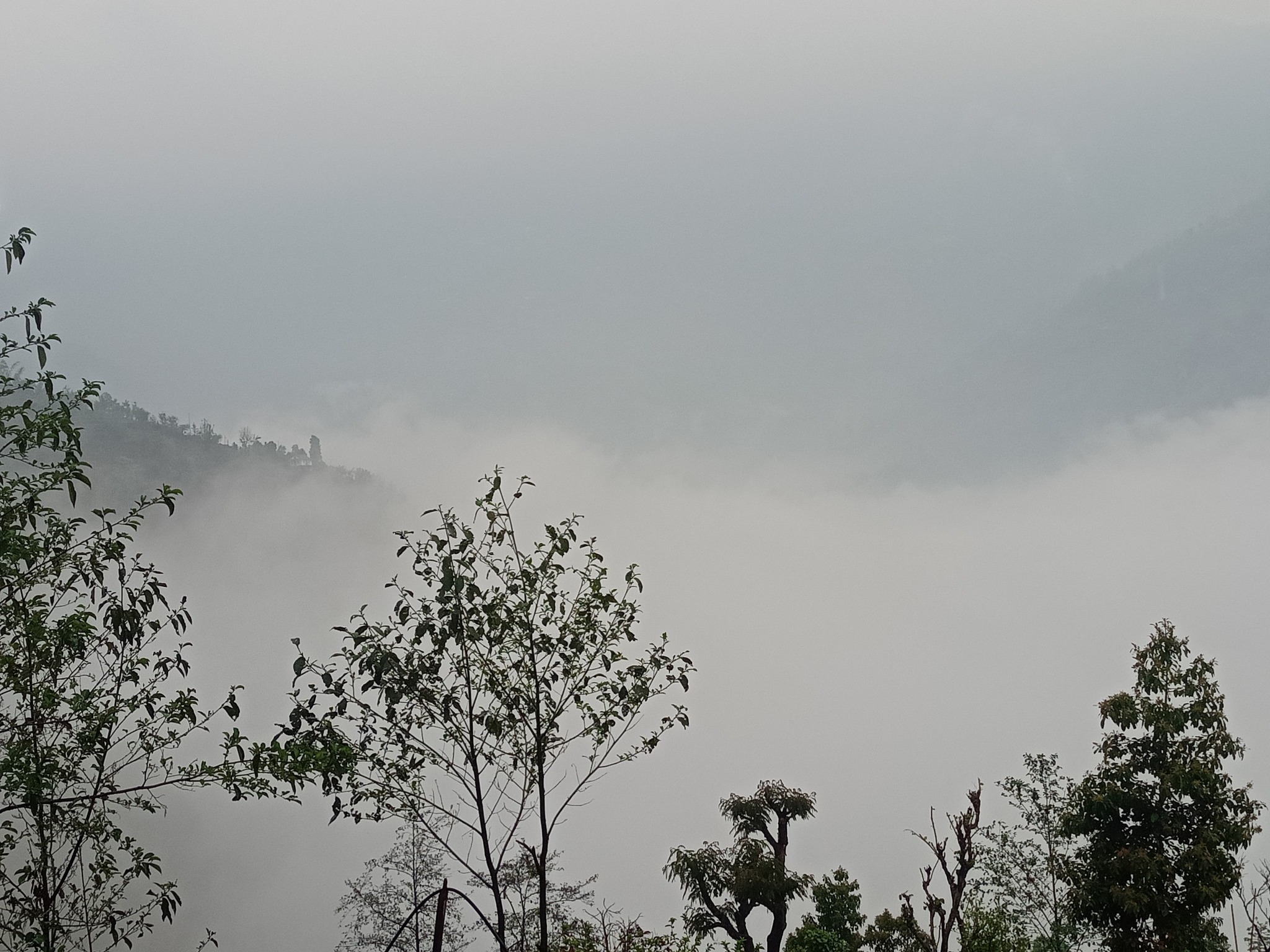 Syaule Sipting Athpahariya Community Homestay